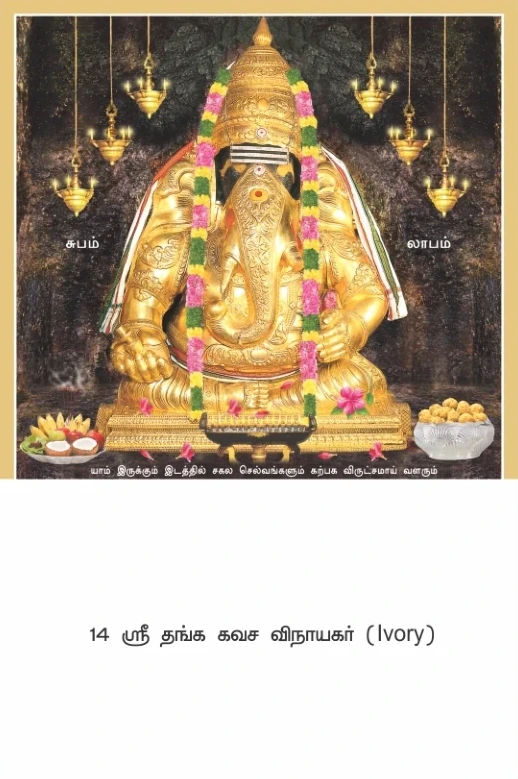 10 x 15 Deluxe Real Art - Design 11