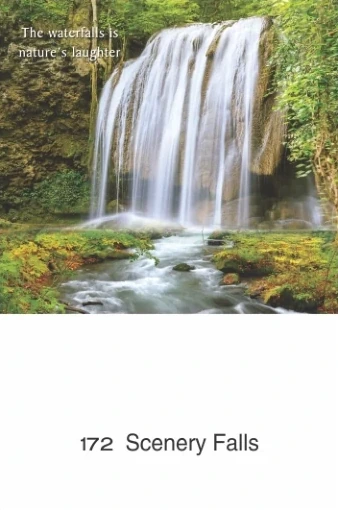 10 x 15 Deluxe Real Art - Design 172
